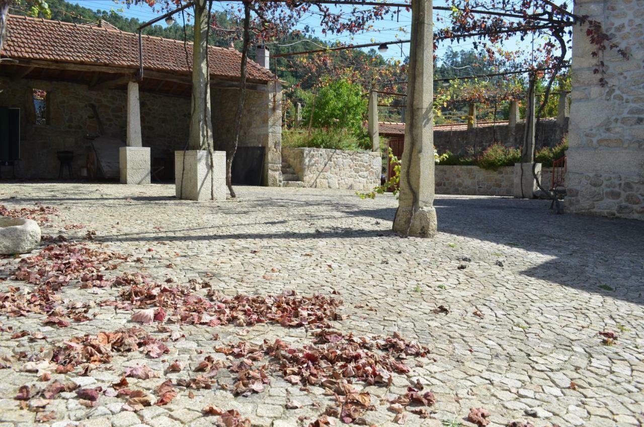 Casa vacanze Casa Dos Namorados Vale de Cambra